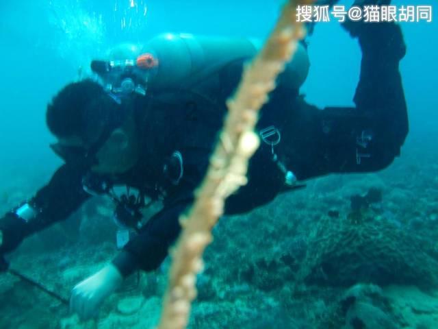 管理的本质是协调还是决策？游戏画面
